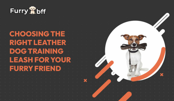 Choosing the Right Leather Dog Training Leash for Your Furry Friend