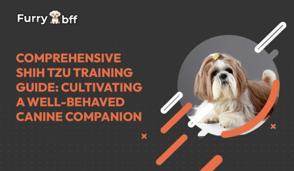 Comprehensive Shih Tzu Training Guide: Cultivating a Well-Behaved Canine Companion
