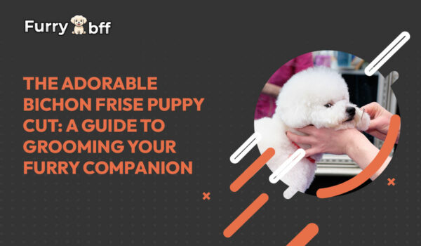 The Adorable Bichon Frise Puppy Cut: A Guide to Grooming Your Furry Companion