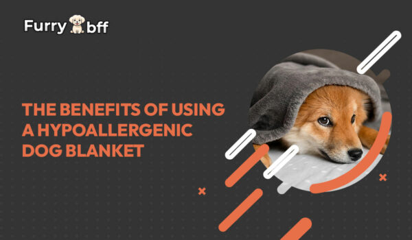 The Benefits of Using a Hypoallergenic Dog Blanket