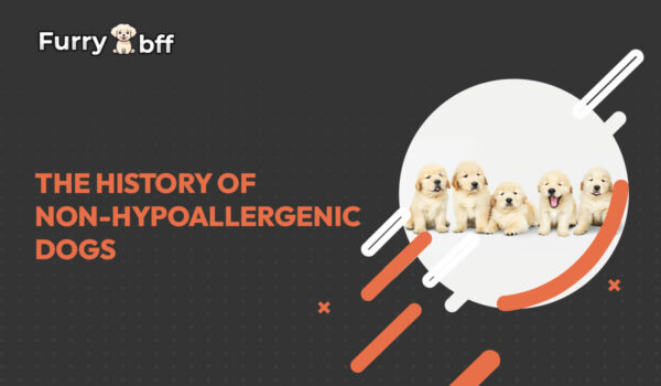 The History of Non-Hypoallergenic Dogs