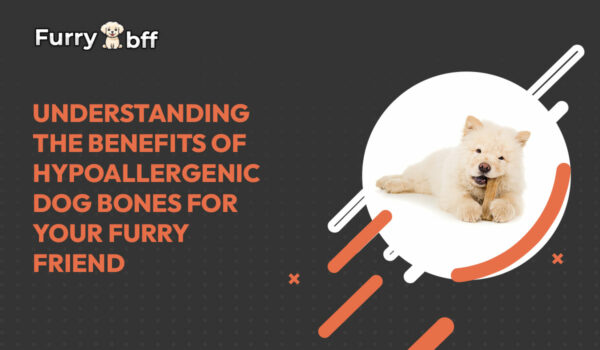 Understanding the Benefits of Hypoallergenic Dog Bones for your Furry Friend