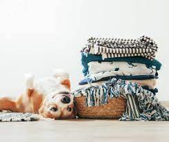 Importance of Choosing Hypoallergenic Dog Bedding