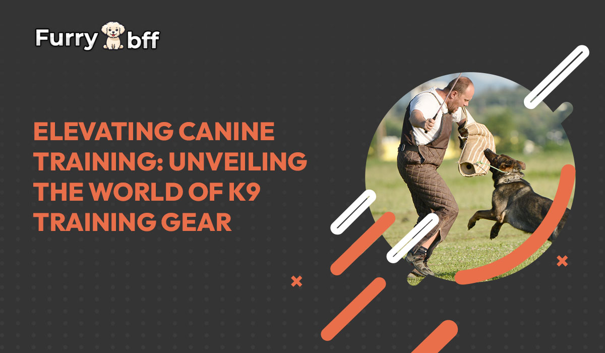 Elevating Canine Training: Unveiling the World of K9 Training Gear