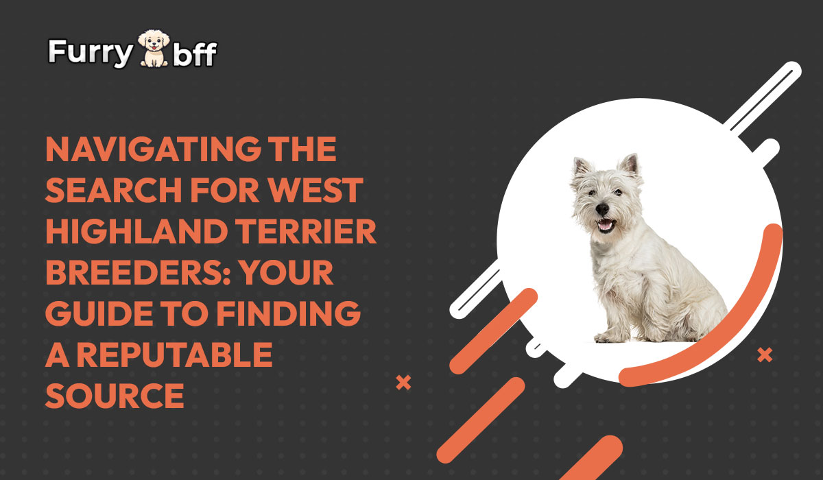 Navigating the Search for West Highland Terrier Breeders: Your Guide to Finding a Reputable Source