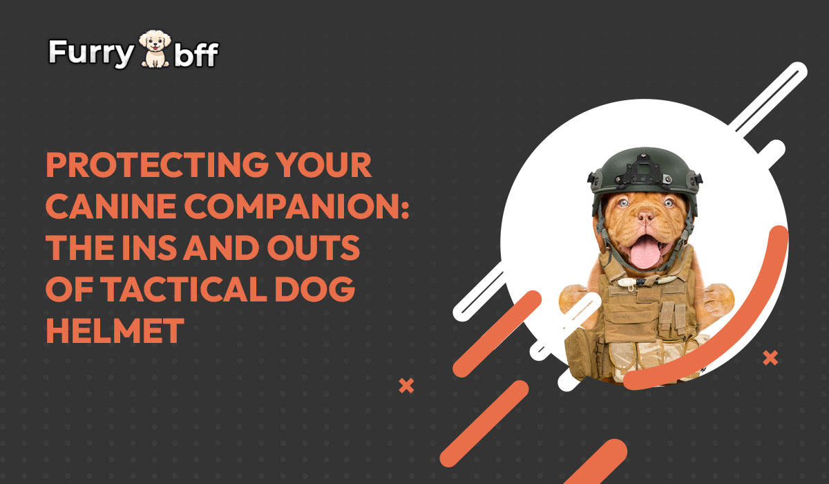 Protecting Your Canine Companion: The Ins and Outs of Tactical Dog Helmets