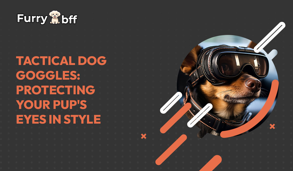 Tactical Dog Goggles: Protecting Your Pup's Eyes in Style