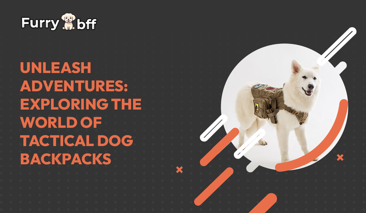 Unleash Adventures: Exploring the World of Tactical Dog Backpacks