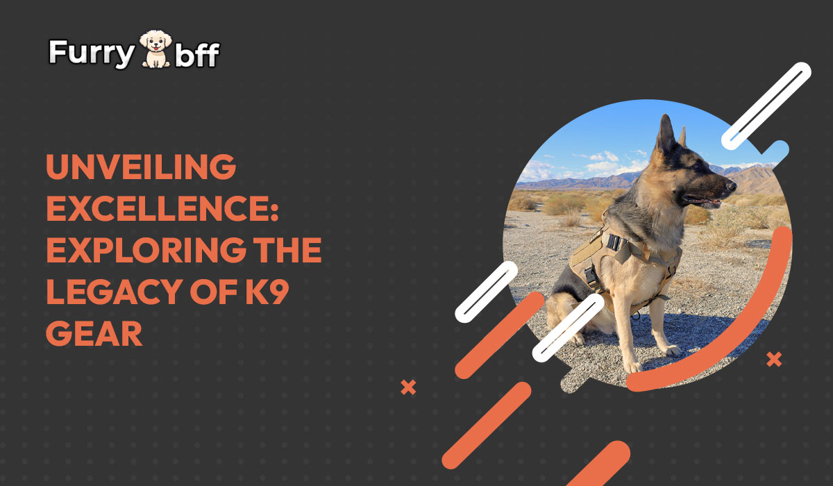 Unveiling Excellence: Exploring the Legacy of K9 Gear