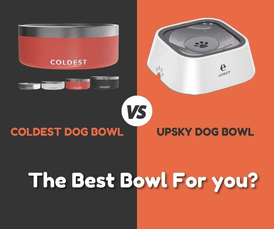Dog Bowl Comparison
